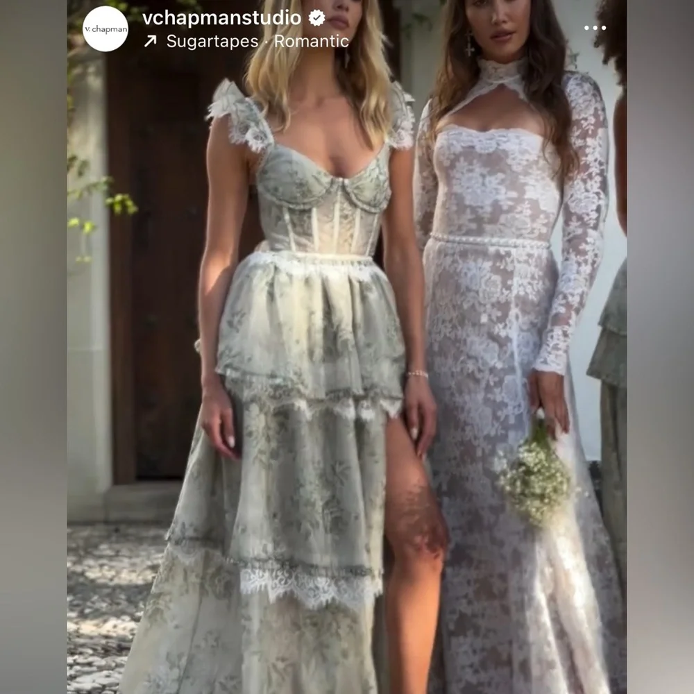 BRAND NEW! V.Champamn “Whitby” gown size 2 - Picture 6 of 7